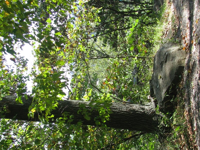 Gettysburg 096.jpg